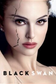 Black Swan Movie Poster